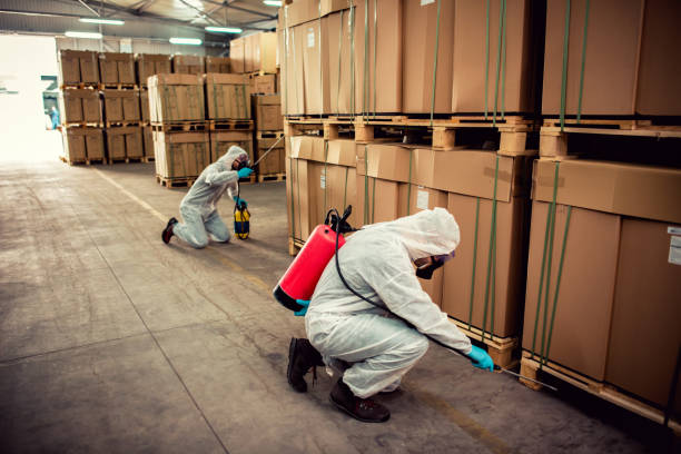 Best Wildlife Control Services  in Rialto, CA