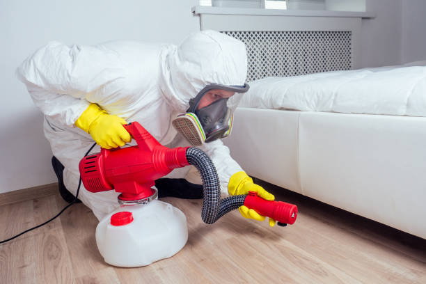Best Best Pest Control Companies  in Rialto, CA