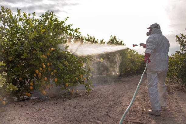 Best Pest Inspection Near Me  in Rialto, CA