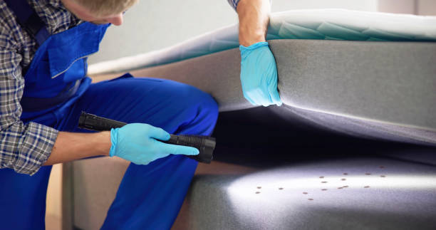 Best Affordable Pest Control Services  in Rialto, CA