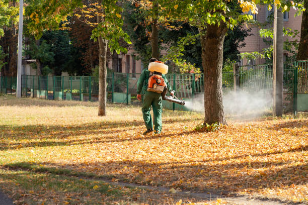 Best Bed Bug Extermination  in Rialto, CA