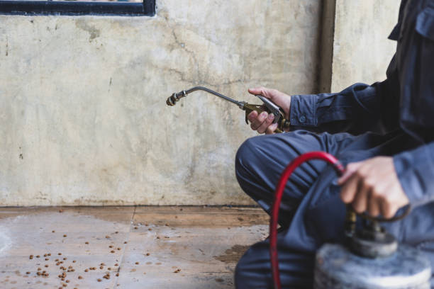 Best Ant Control Services  in Rialto, CA